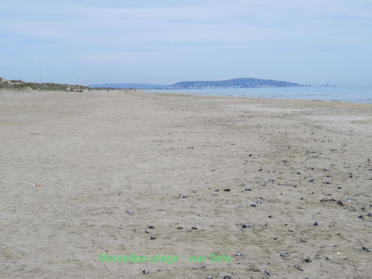 Horte Neuve Marseillan  Ngoại thất bức ảnh